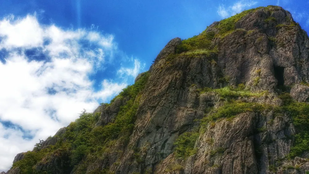 2442A73357D019990EEAA9