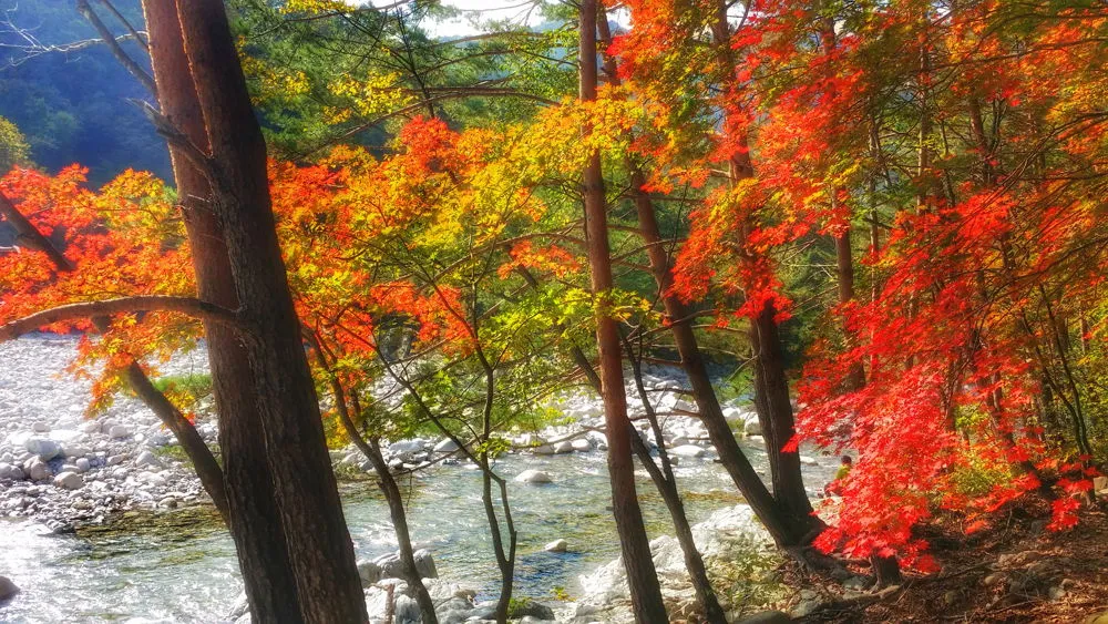 2407103657FDEC7B1805B6