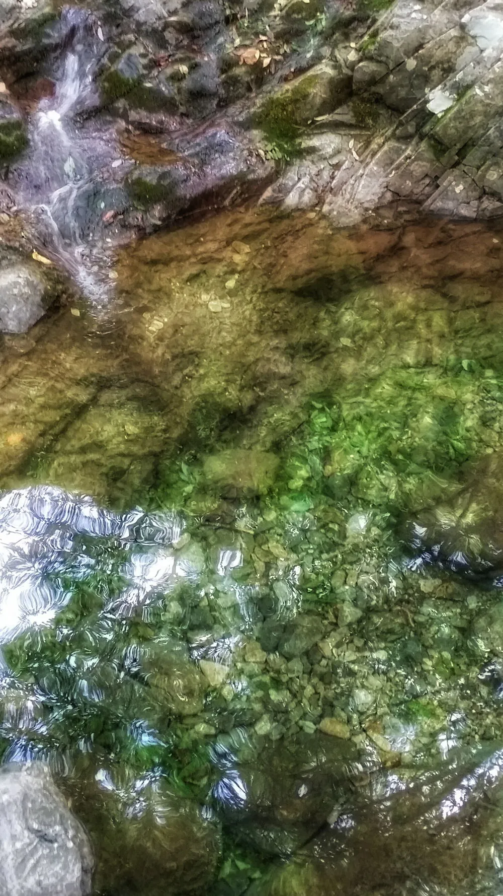 255A943C57D022C41FCDE6