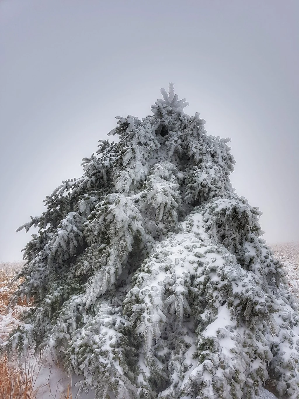 991C45465AA50BB6325C6C