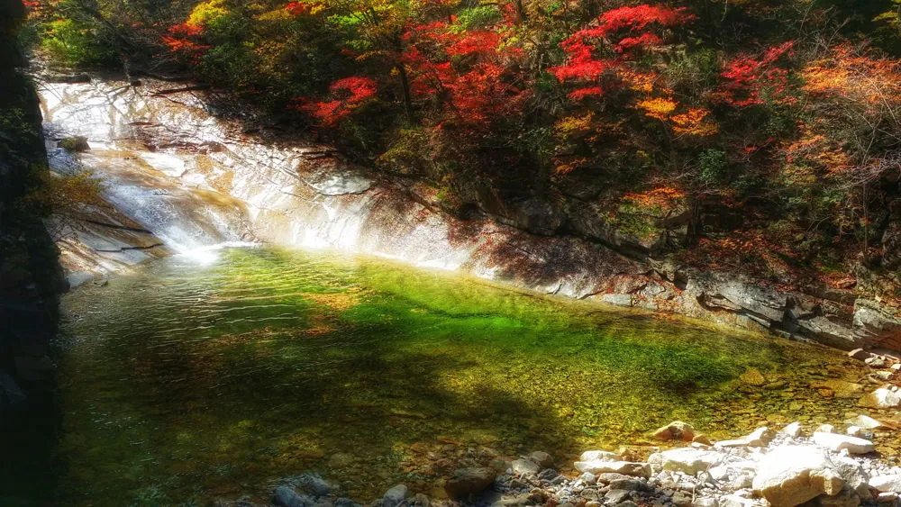 2763EB3657FDEC742CA980