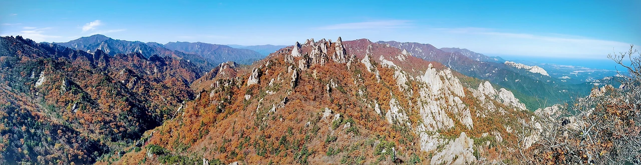 9980AE3359E953561E9799