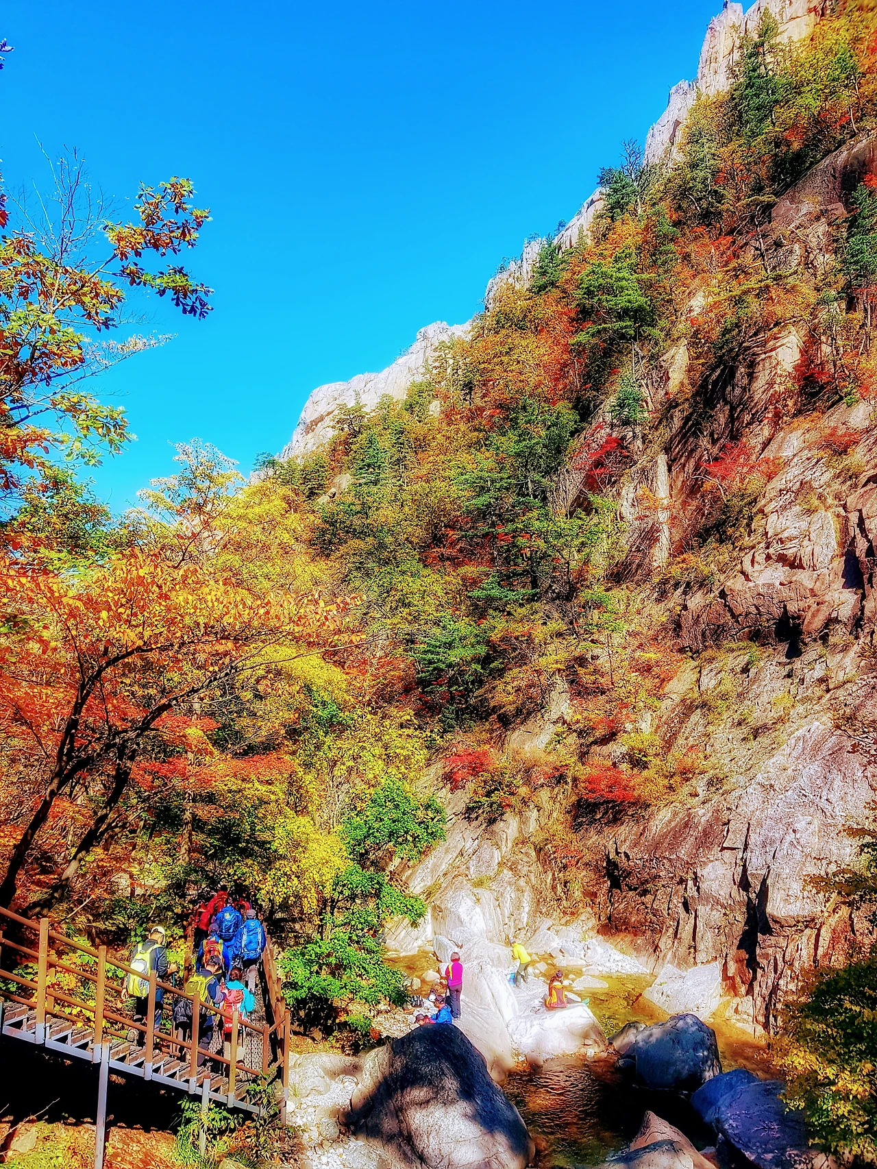 9920BA3359E961A523511B