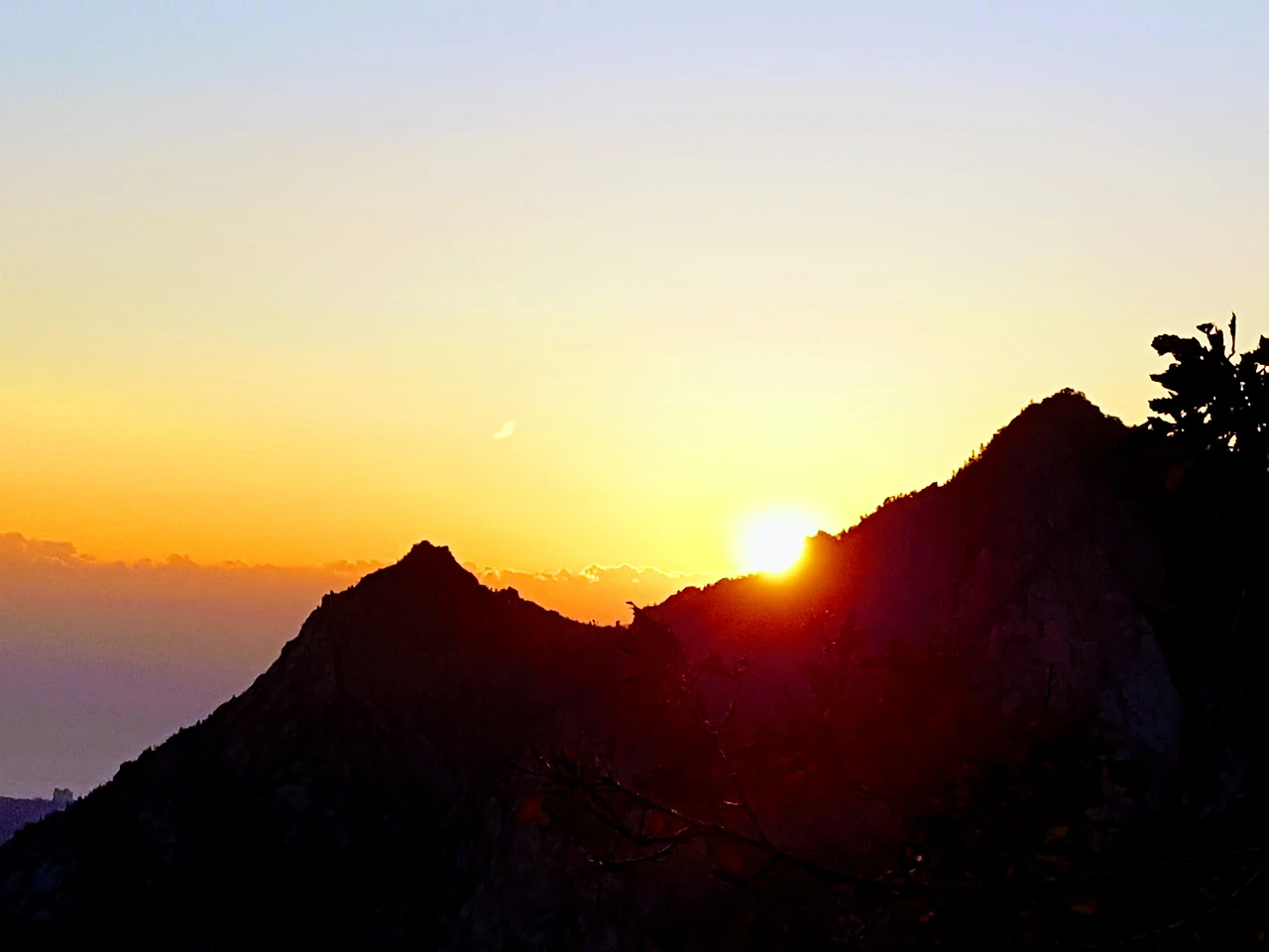 99B75E3359E8A3D1355A75