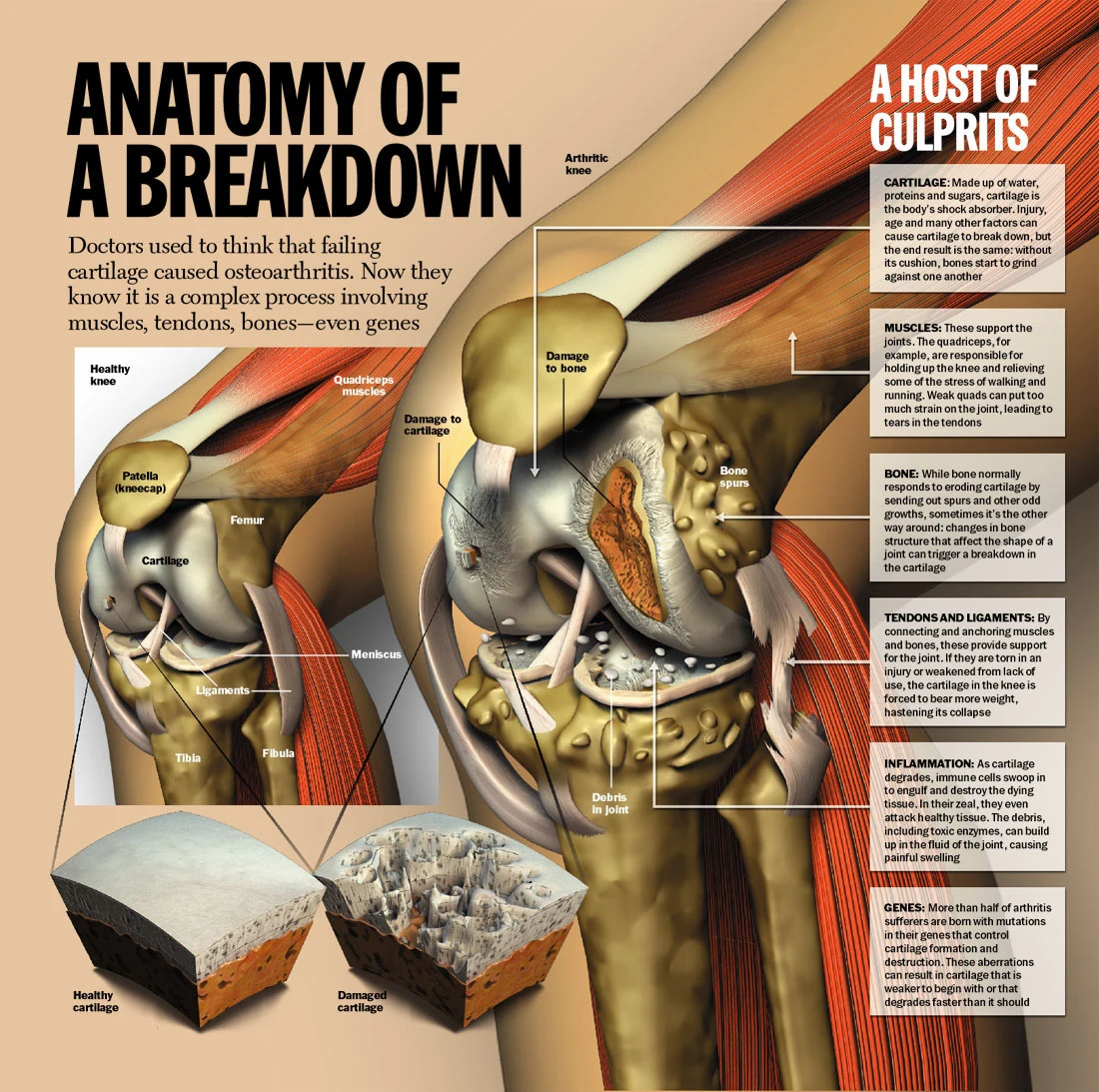 270B1A4E56CE7DBA27A458