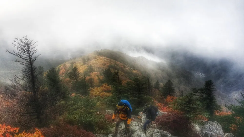 2128F83857FCF7C506A960