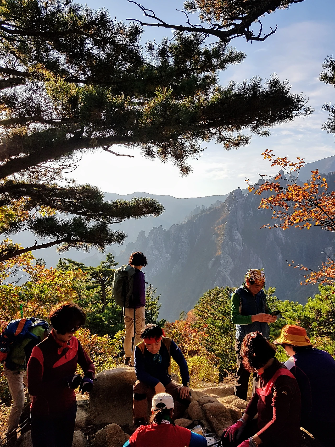 99E81F3359E8C29A250EA5