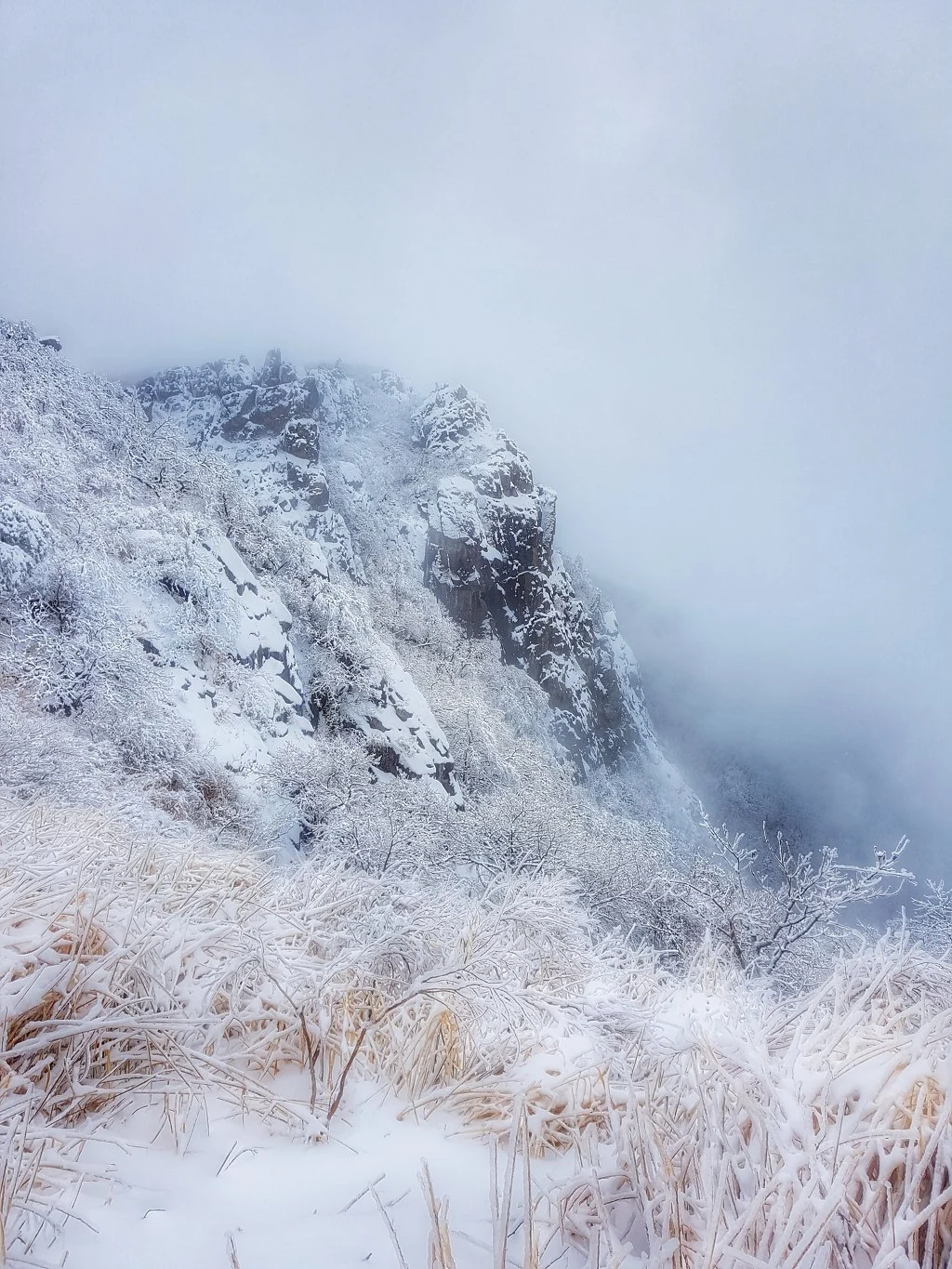 99E35D465AA50BA4346D2F