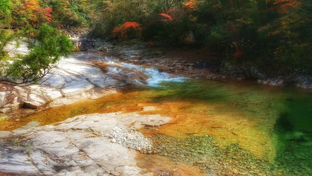 2274113657FDEC7922D34B