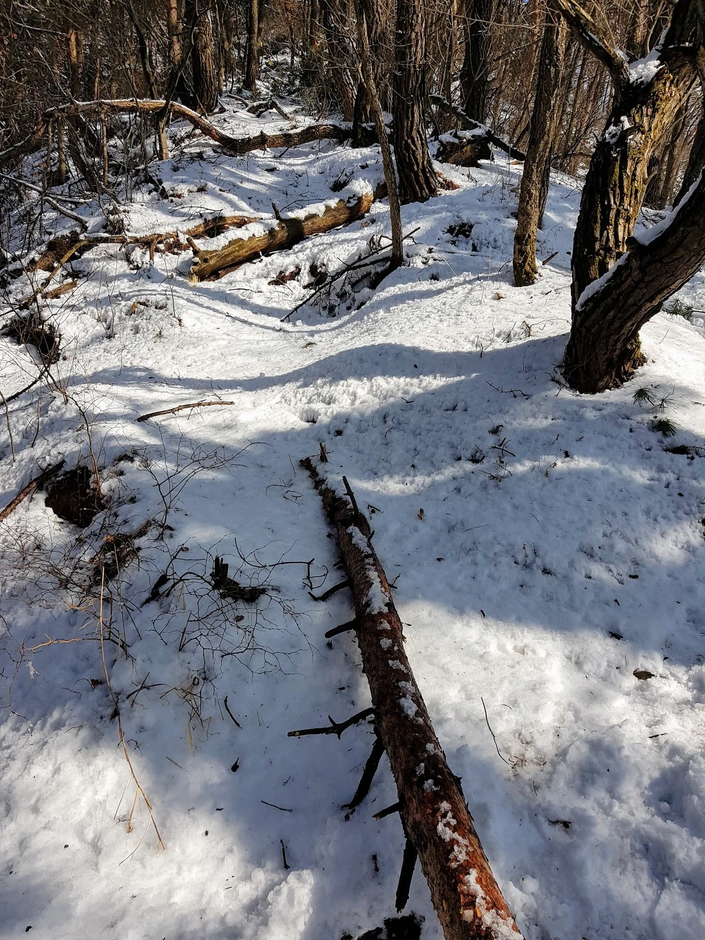 9982A63B5AA5B4061E8C56