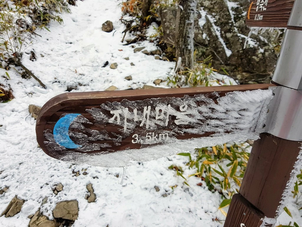 996FBB435AA50A2D34230D