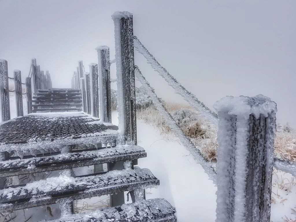 997B7F465AA50BAF077971