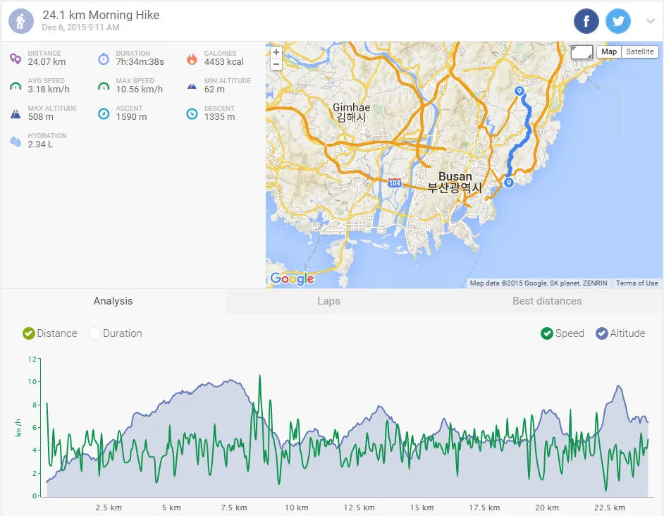 24278A3D56666E9B31F16A