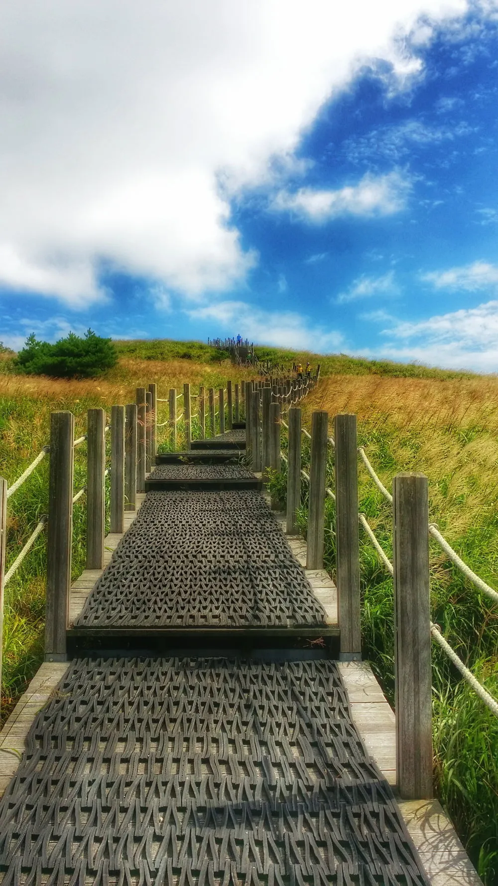 2243E93C57D022AA347BE4