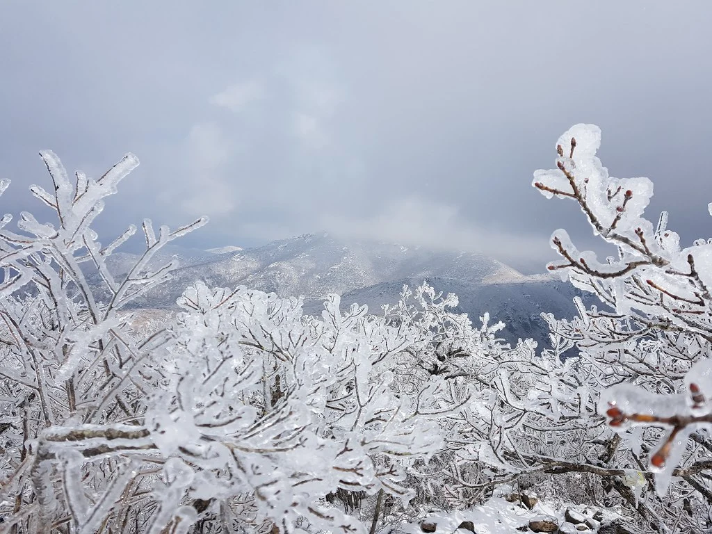 99EBEE4B5AA50B1619CB2C