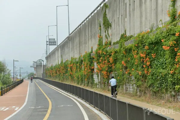 2571265055FA06D40481EB