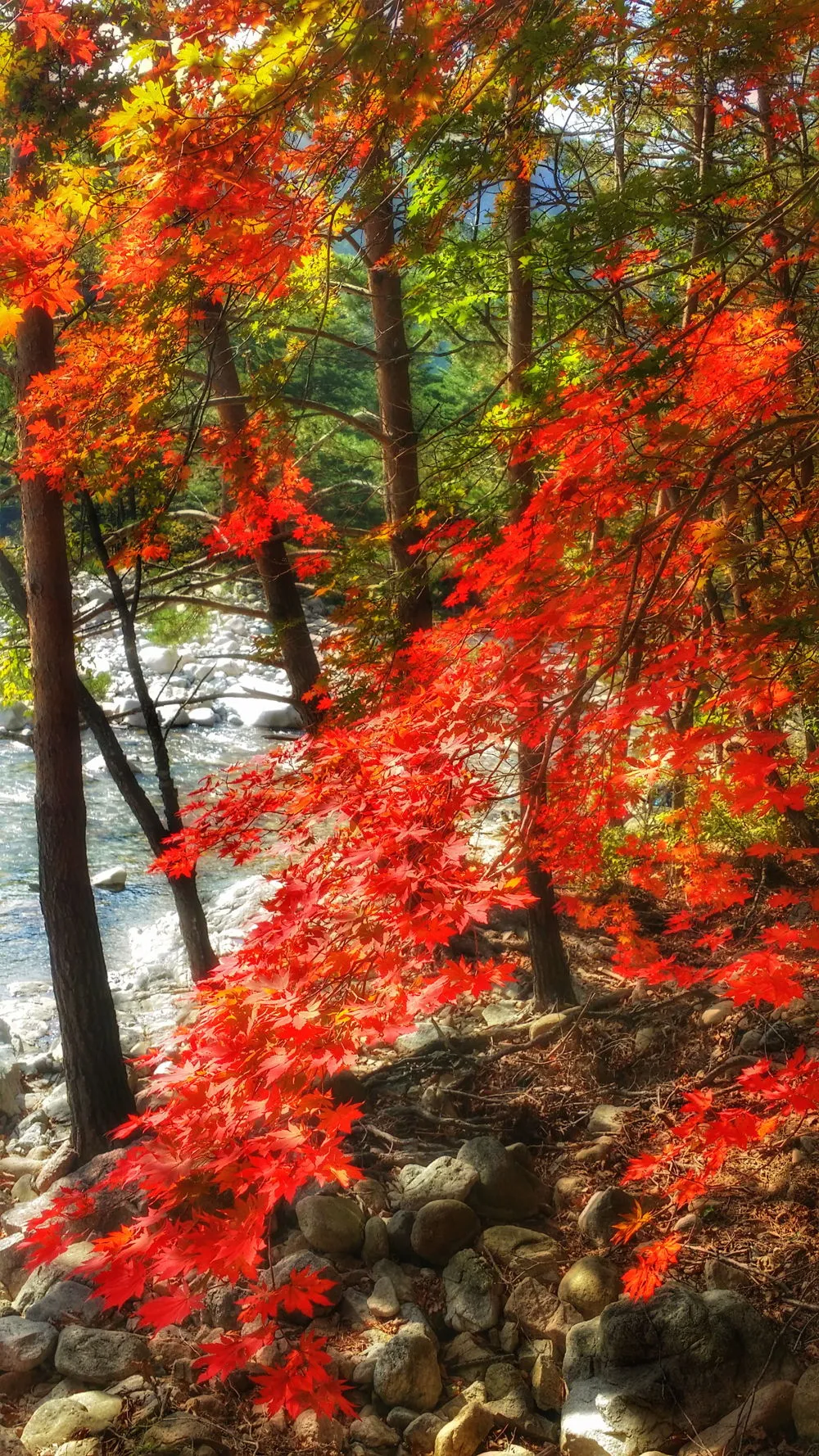 2369973657FDEC7D290214