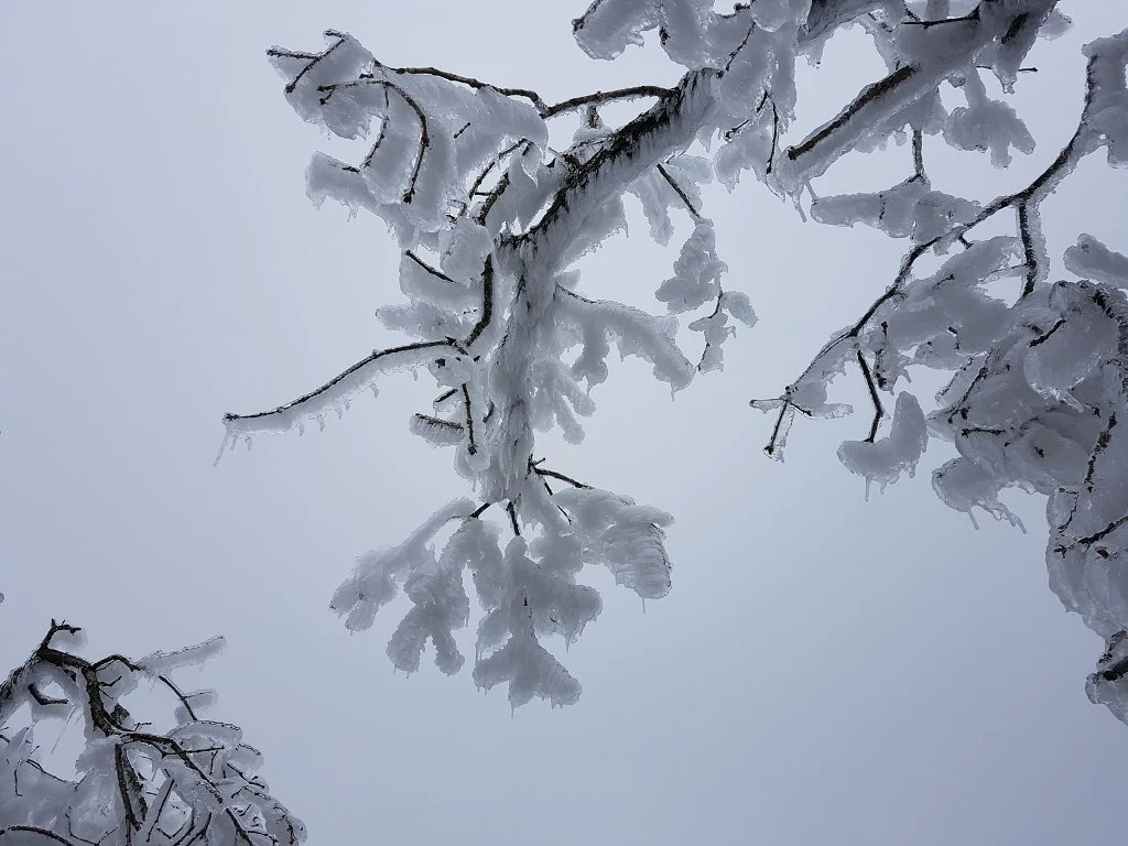 9992634B5AA50AFC0B87F4