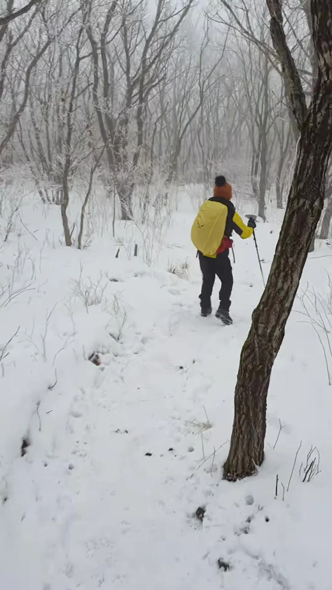 img.jpg?width=1080&height=1920&face=0_0_1080_1920