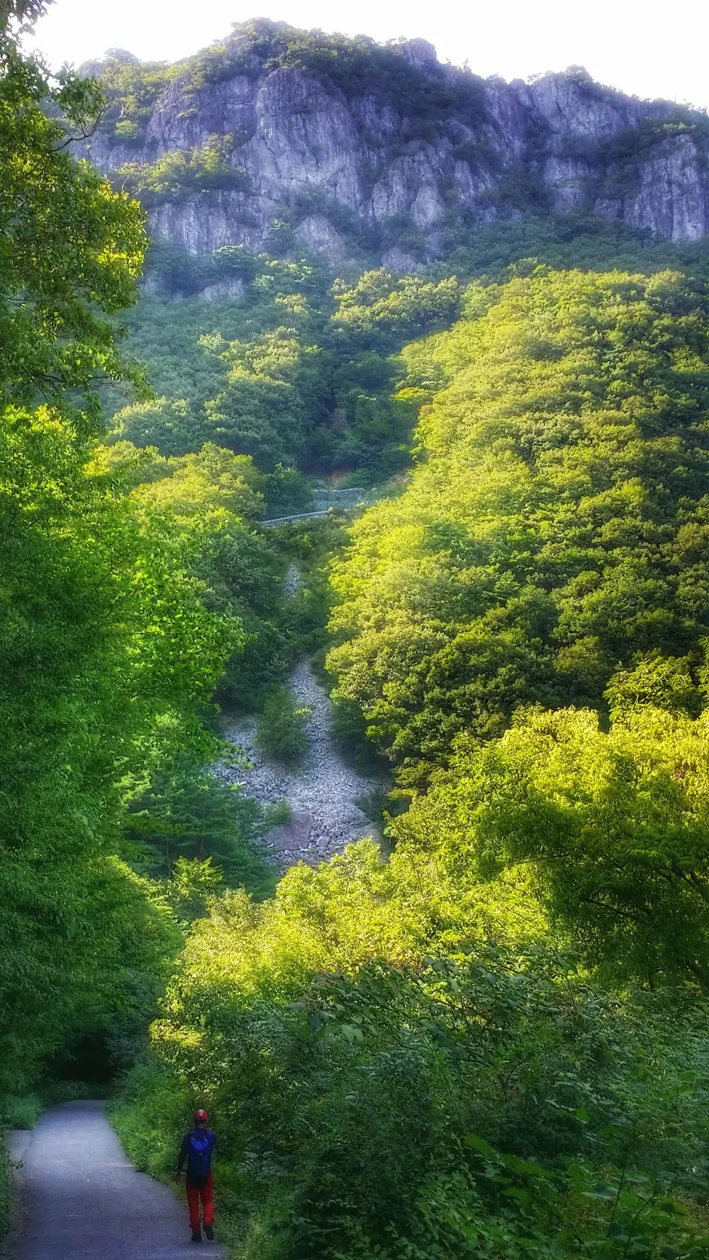 2764653C57D022C2151240