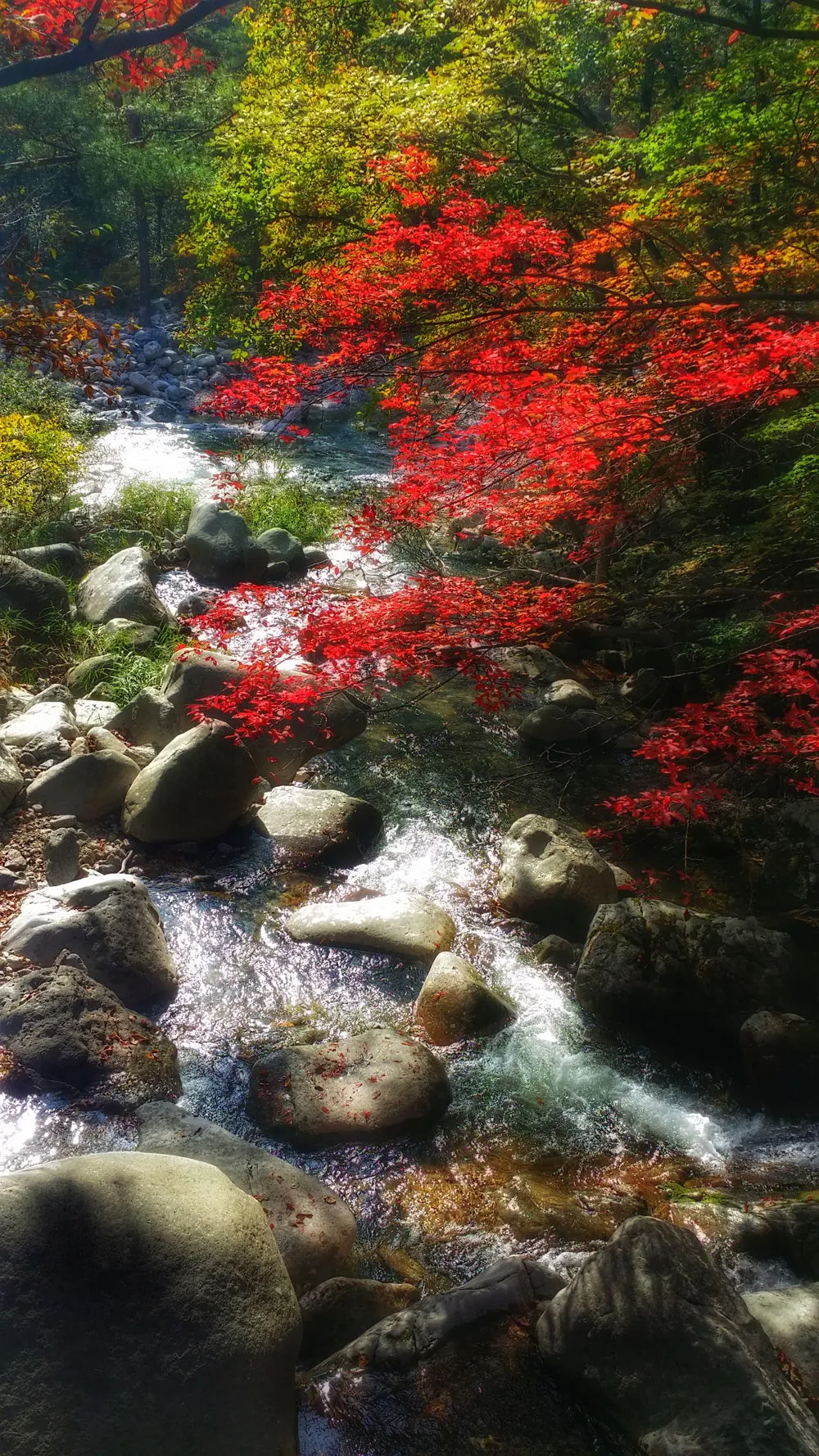 2213773657FDEC7F0E04DB