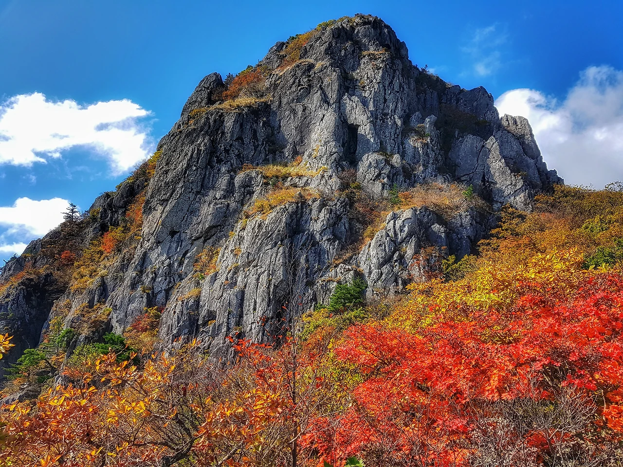 99272C3359EF331B14F6E0