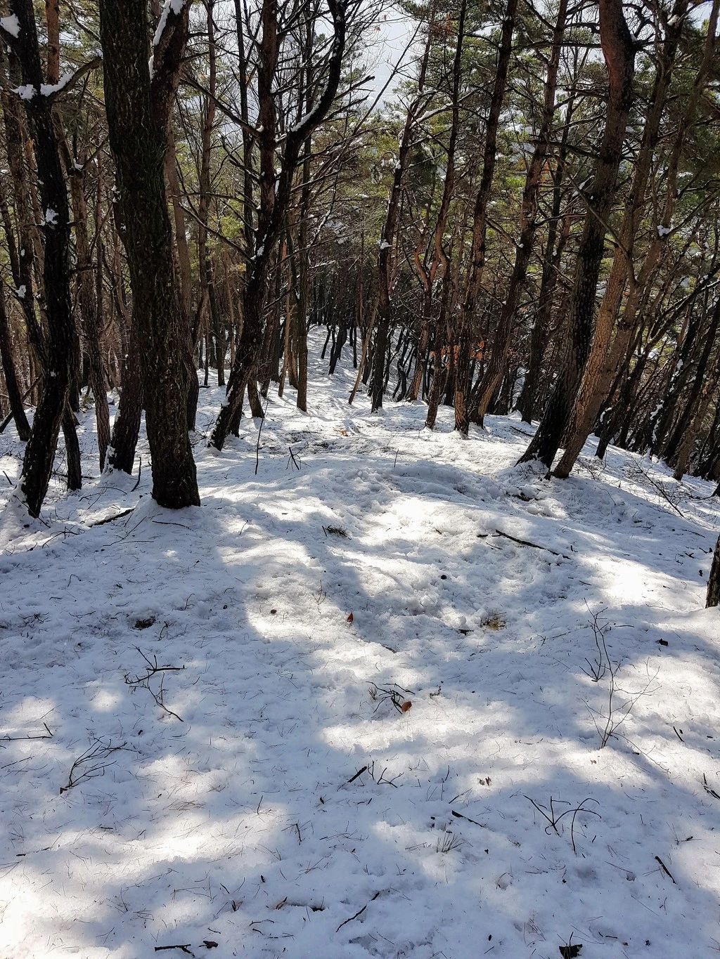 99B6783B5AA5B3D91CB5A6