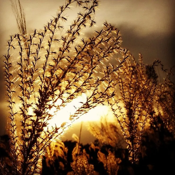 251F9F4F56C1908D14CDE7