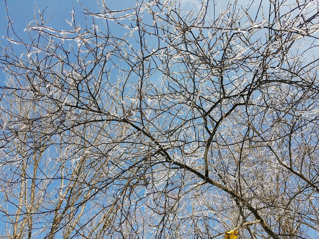 998717355AA5B4FC24EECA