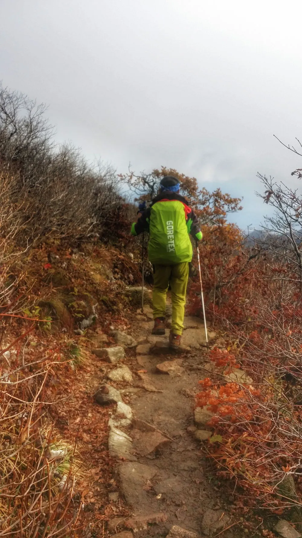 231A794757FD7BDA0BD9EA