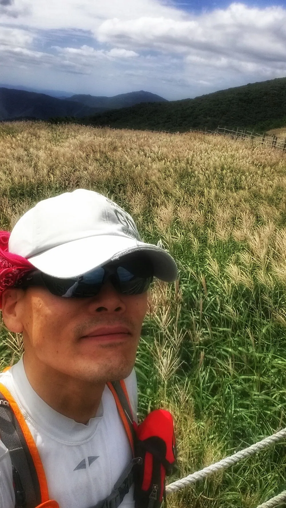 265A943C57D022B01E73EE