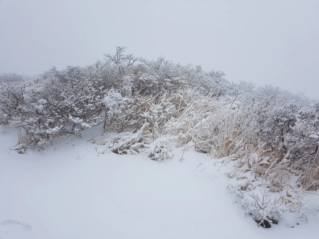 99F95D465AA50BAA345AF8