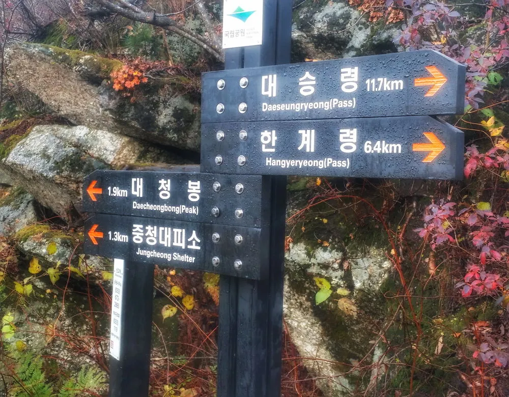 223F5A3557FCEC9F06443C