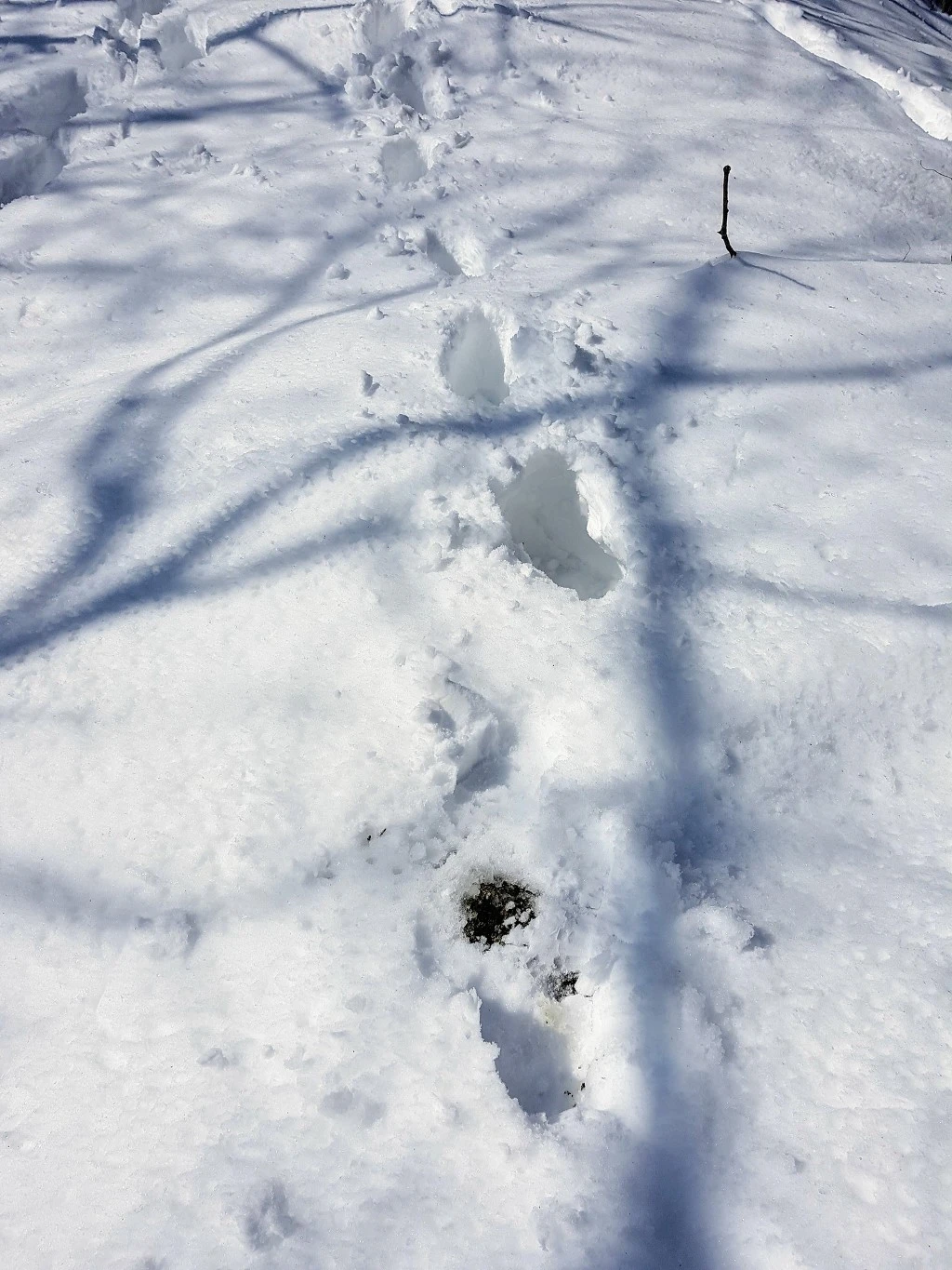 9955733B5AA5B420209BB6