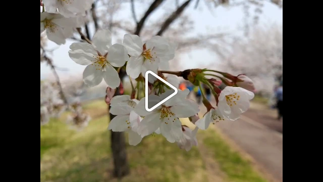 999B2E475ACD4EBA226AC0