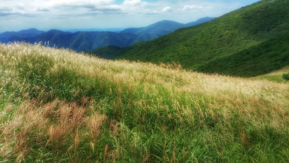 2363B53C57D022A916E4CD