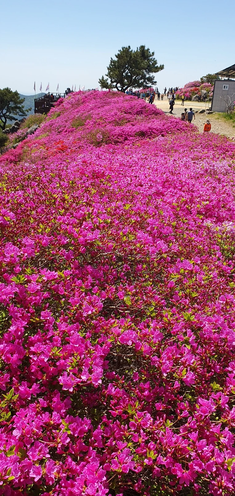 KakaoTalk_Photo_2025-04-26-20-43-32 004.jpeg