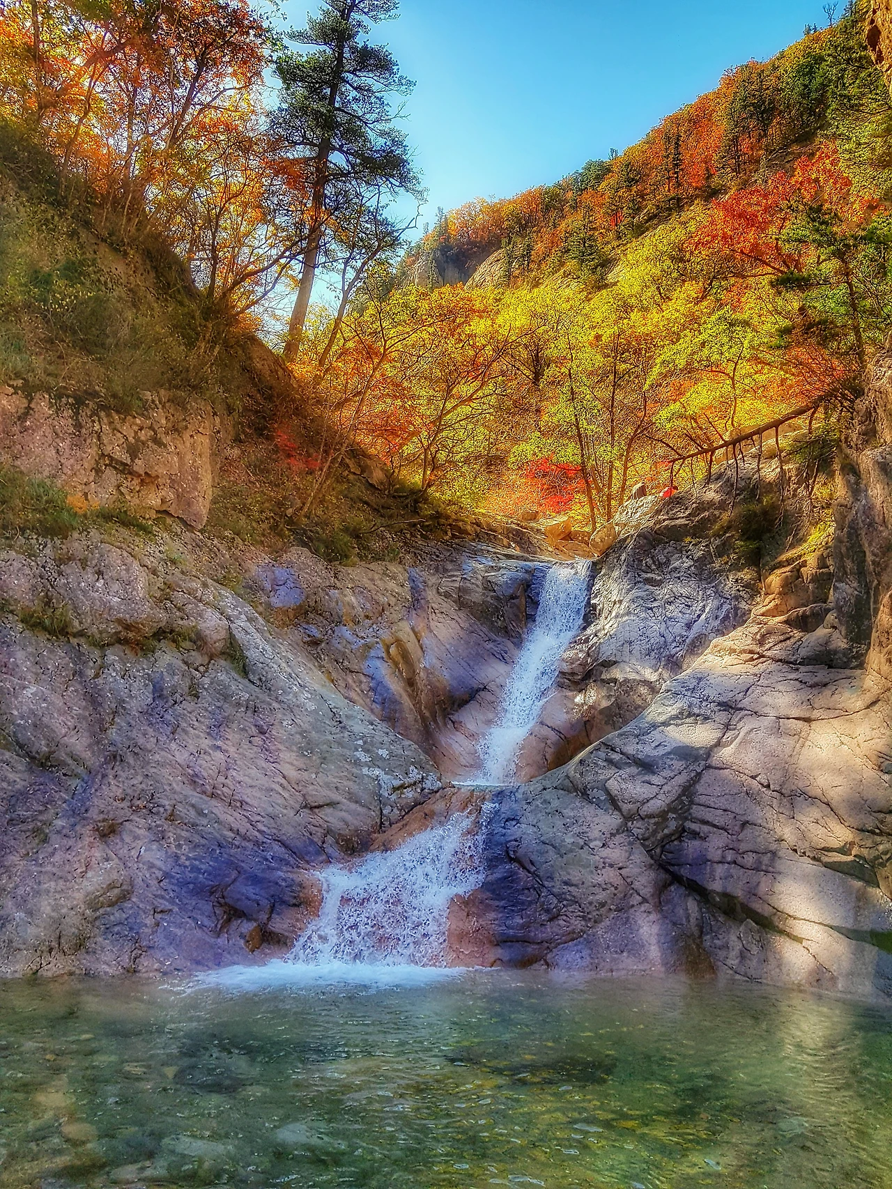 99D4863359E9585D208B25