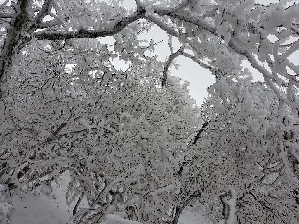 99DCB04B5AA50B0805D337