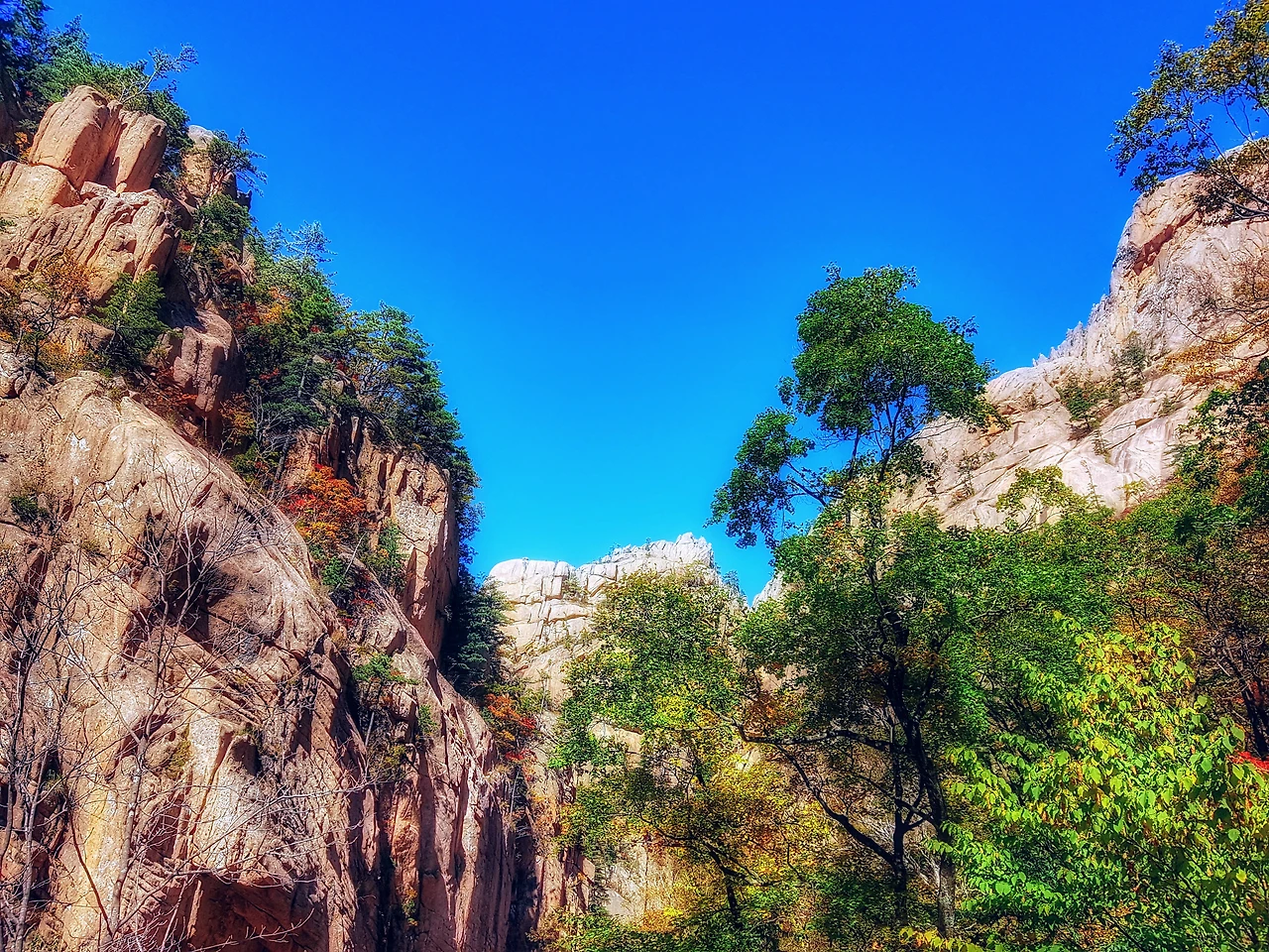 998CA63359E961AB15CC76