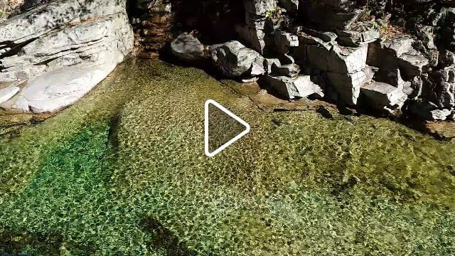 99387F3359E96A912D56E5