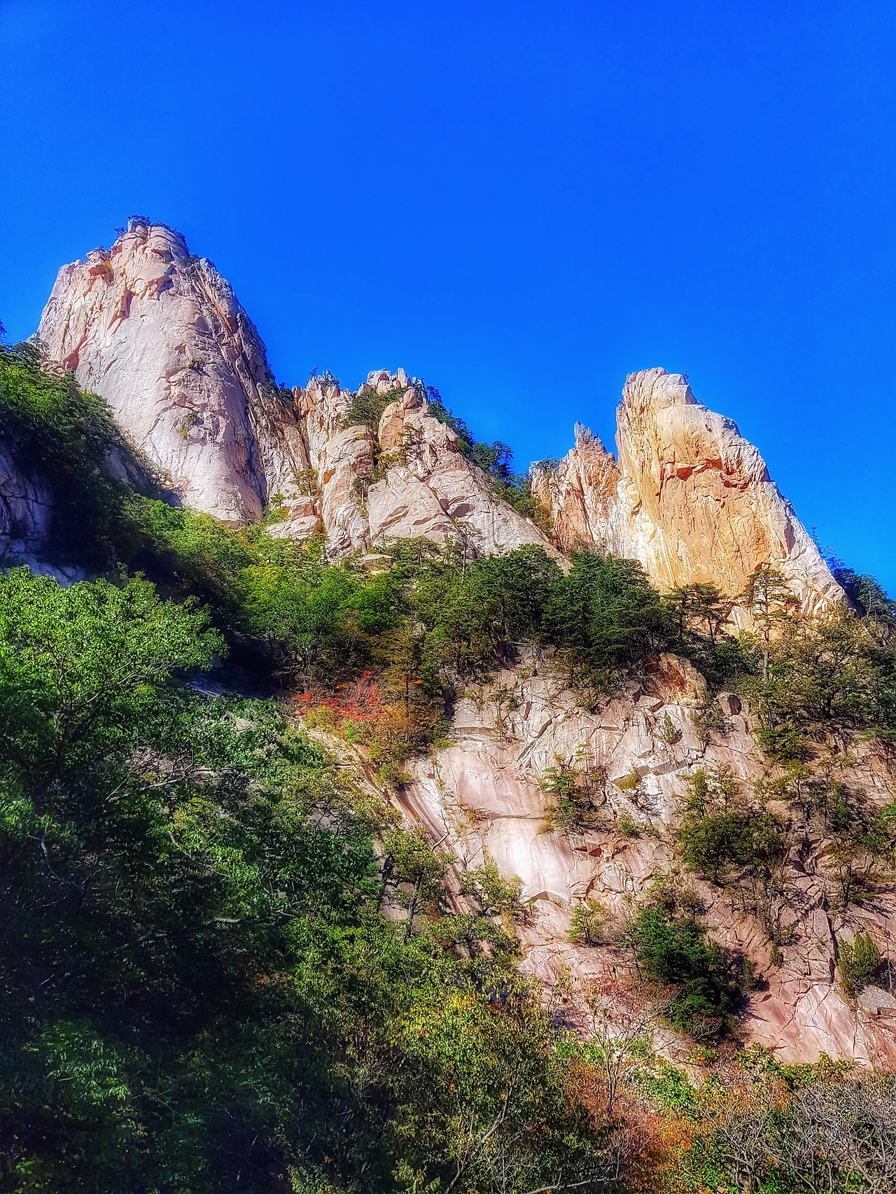 99FB3C3359E96B960481F3