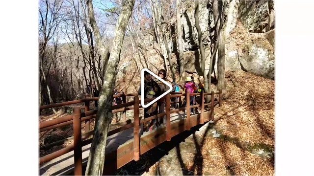 992FE2465AC5B43A0DD874