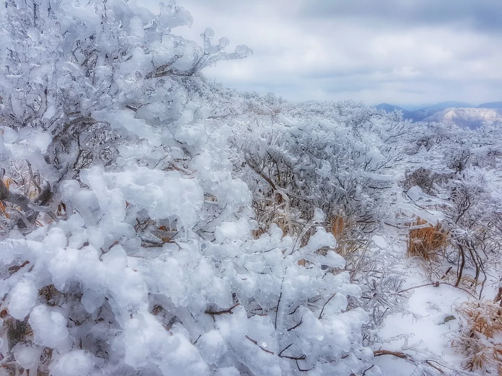 99FBFC485AA50B7F380E70