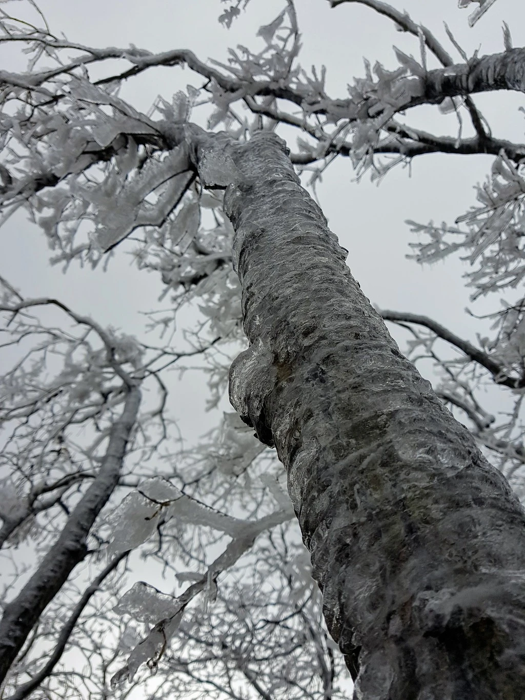 991F364B5AA50AF825B4B9