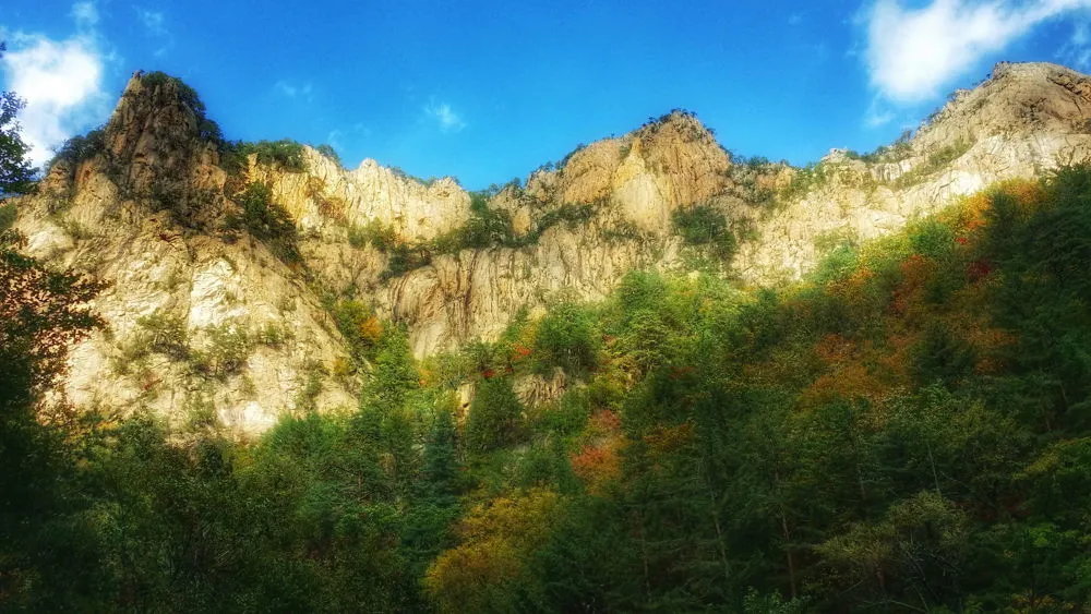 22231B3657FDEC7504F500