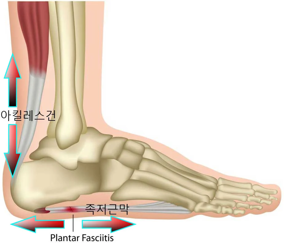 990E843359A4FDFC1729A0