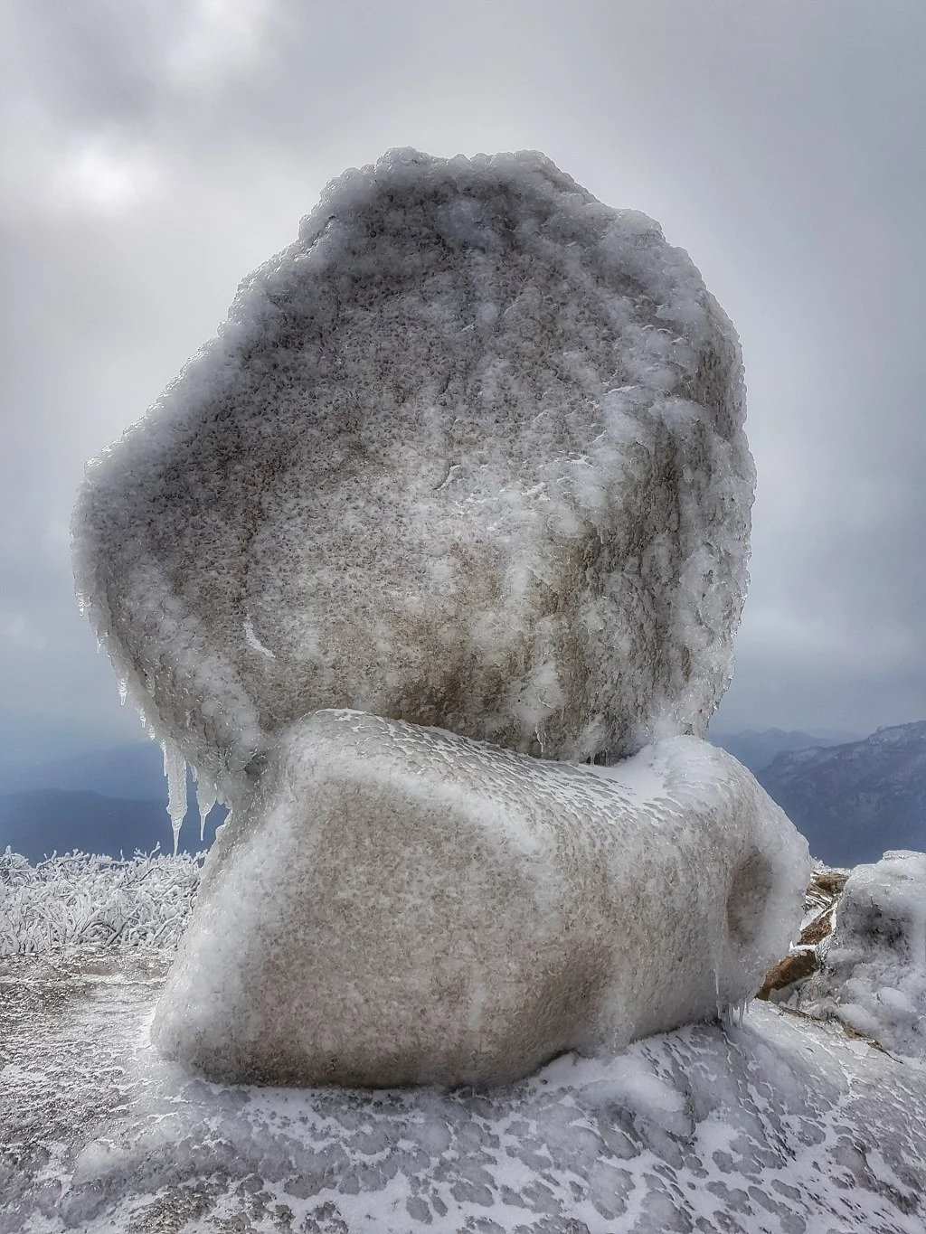 999916485AA50B702AA9DD