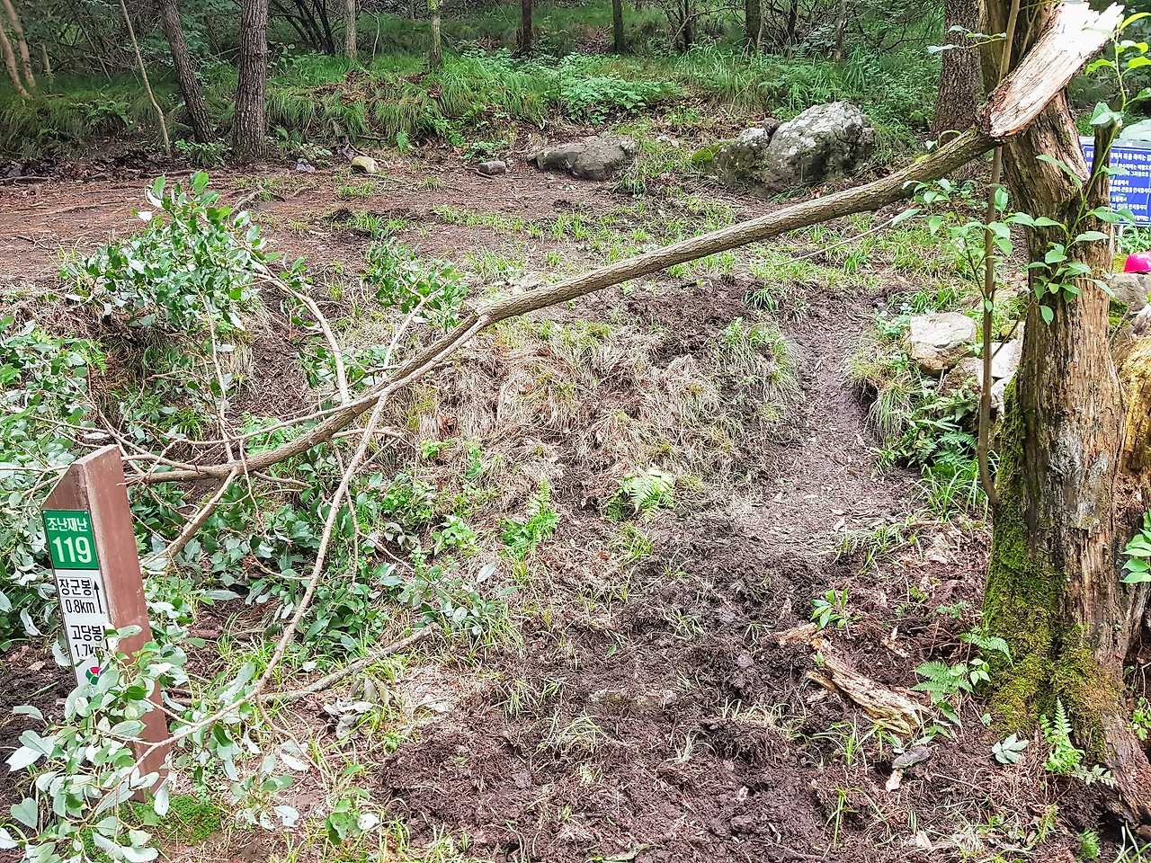 99D59A405B95E8530FA8A3