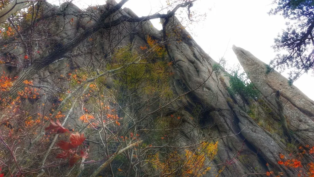 2449303657FDEC3F3CA87A